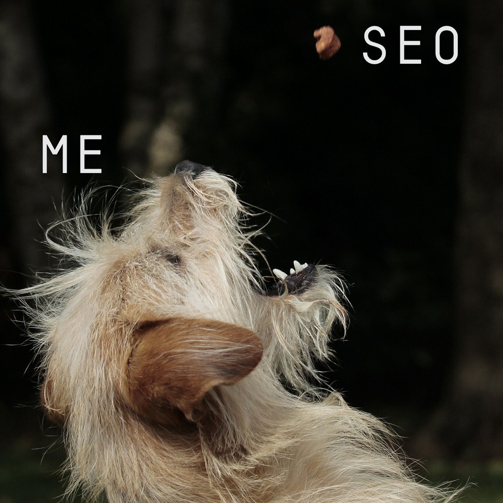 Eating My Own SEO Dog Food